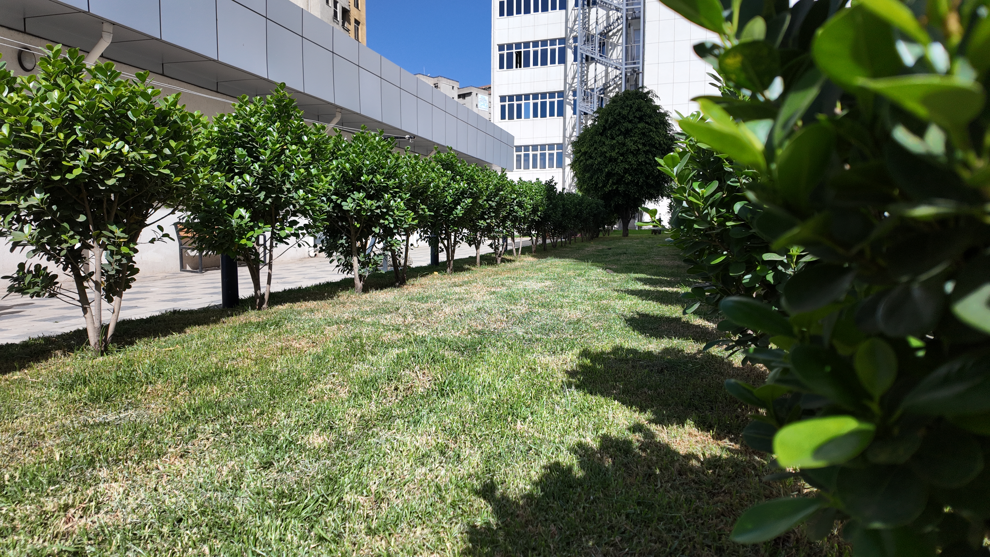 Outdoor planting and landscaping