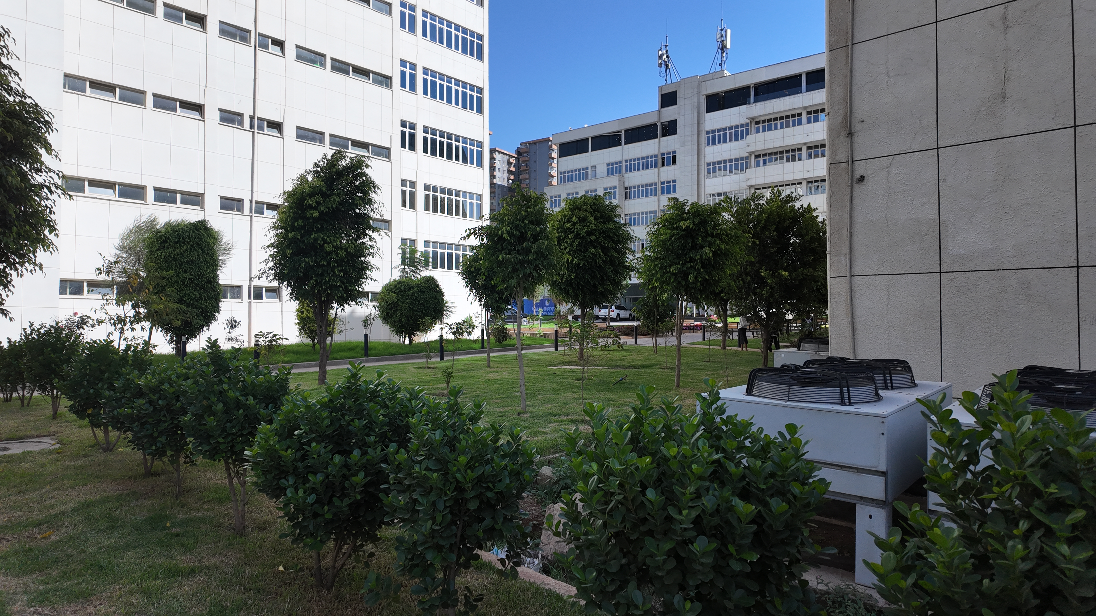 Outdoor planting and landscaping
