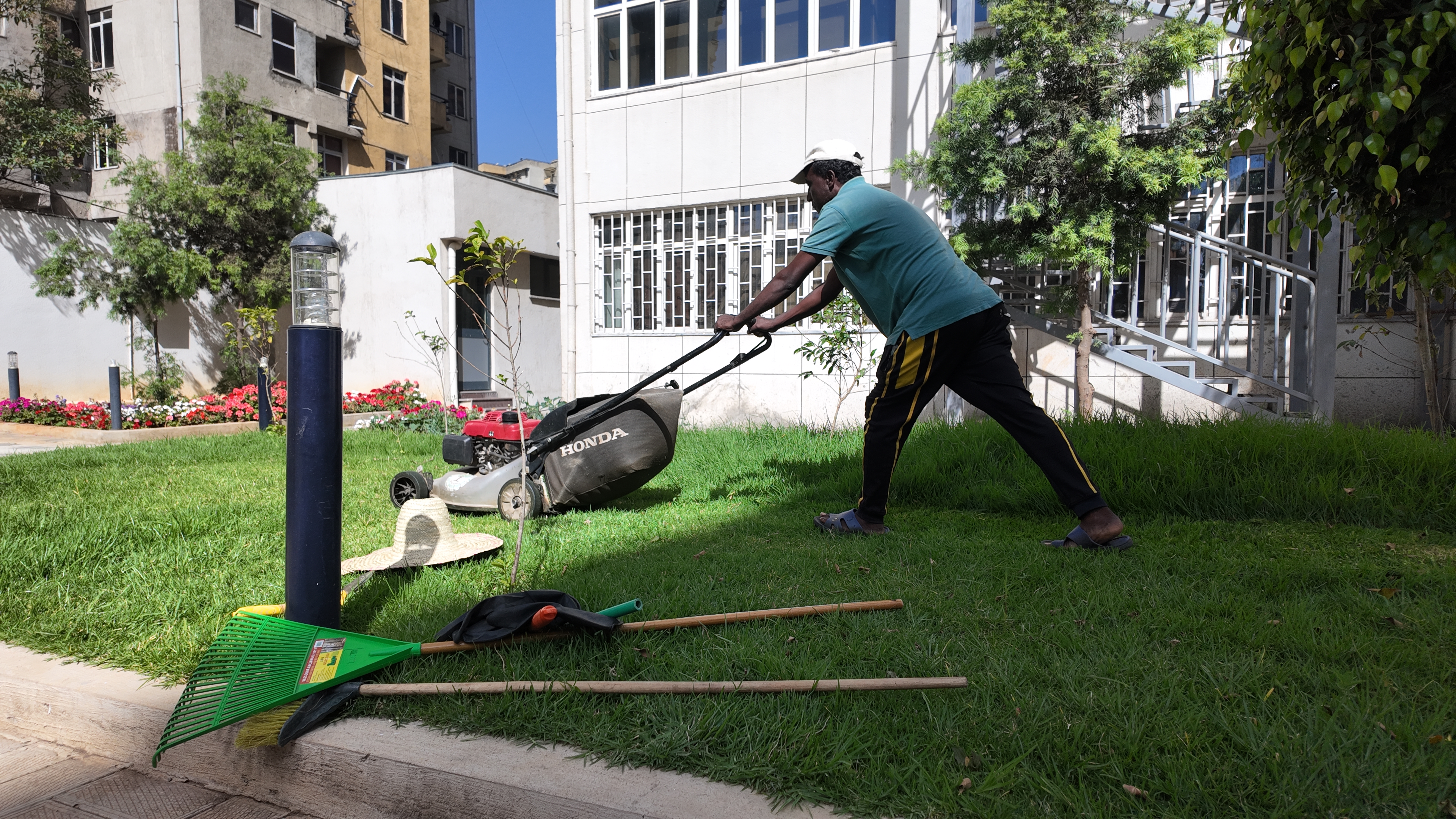 Outdoor planting and landscaping