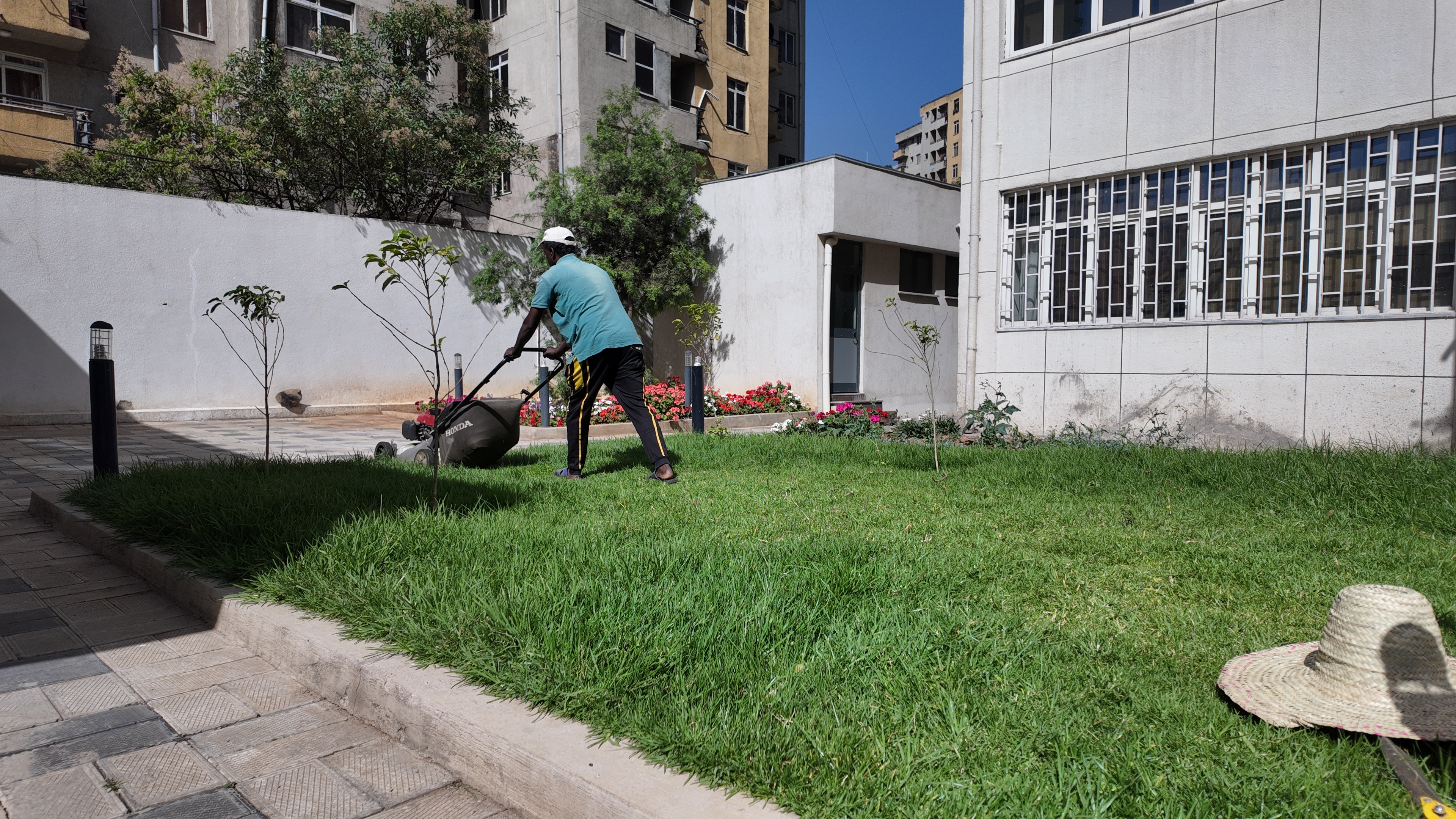 Outdoor planting and landscaping