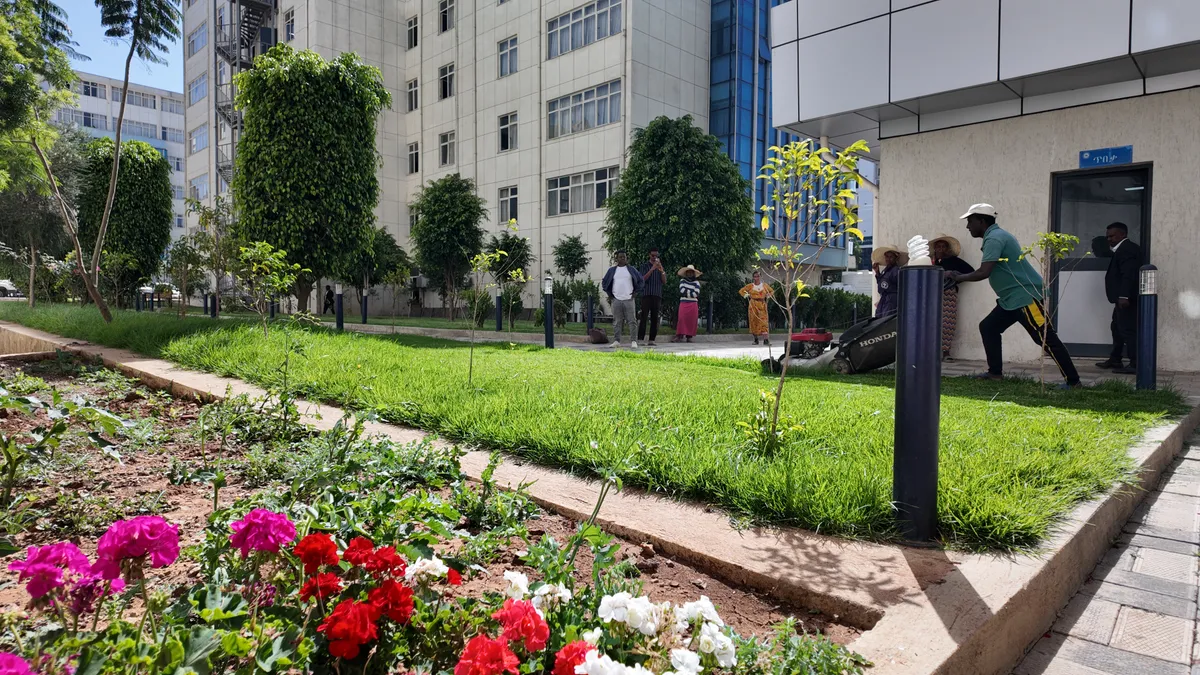Outdoor planting and landscaping