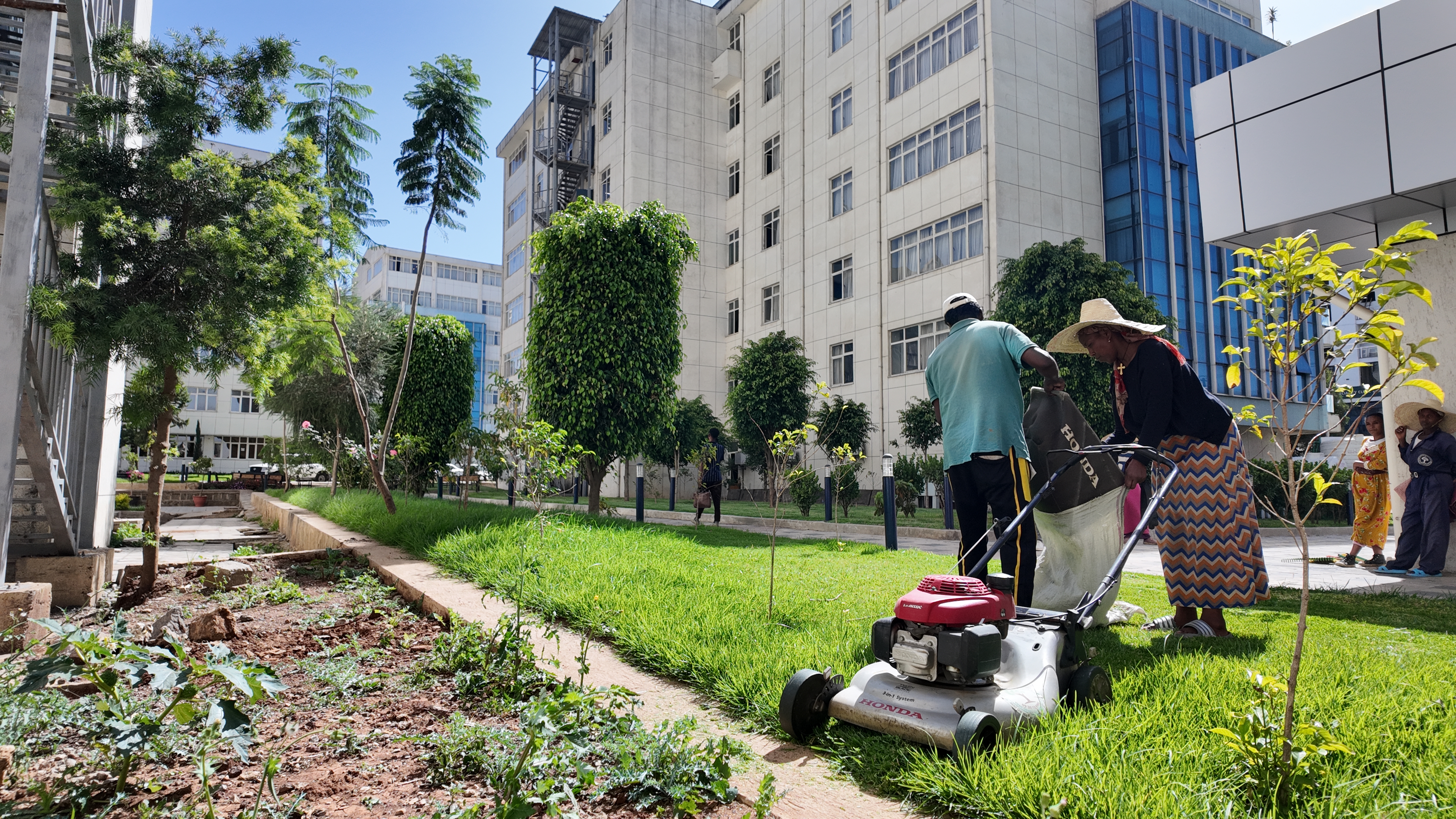 Outdoor planting and landscaping