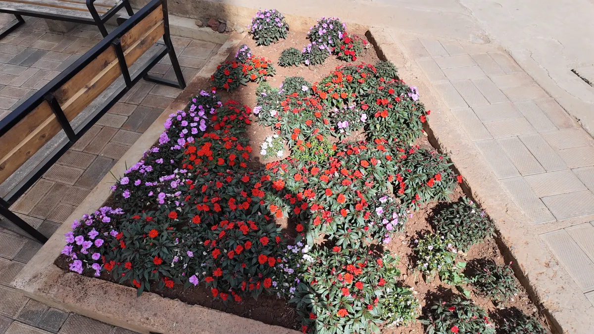 Outdoor planting and landscaping