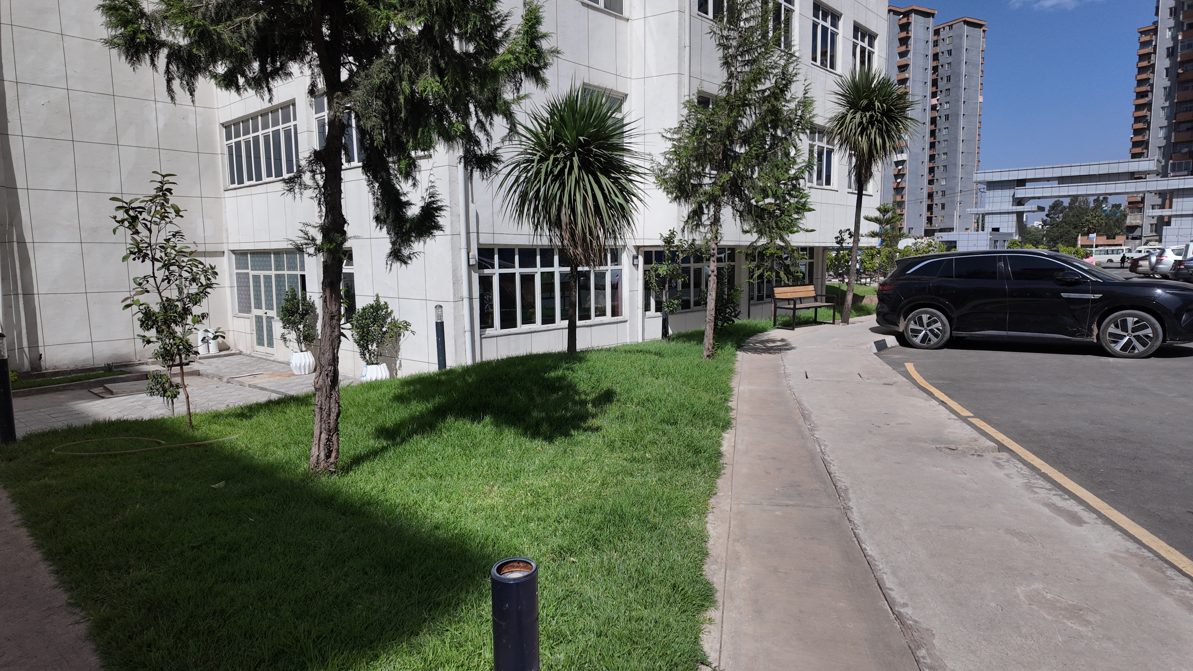 Outdoor planting and landscaping