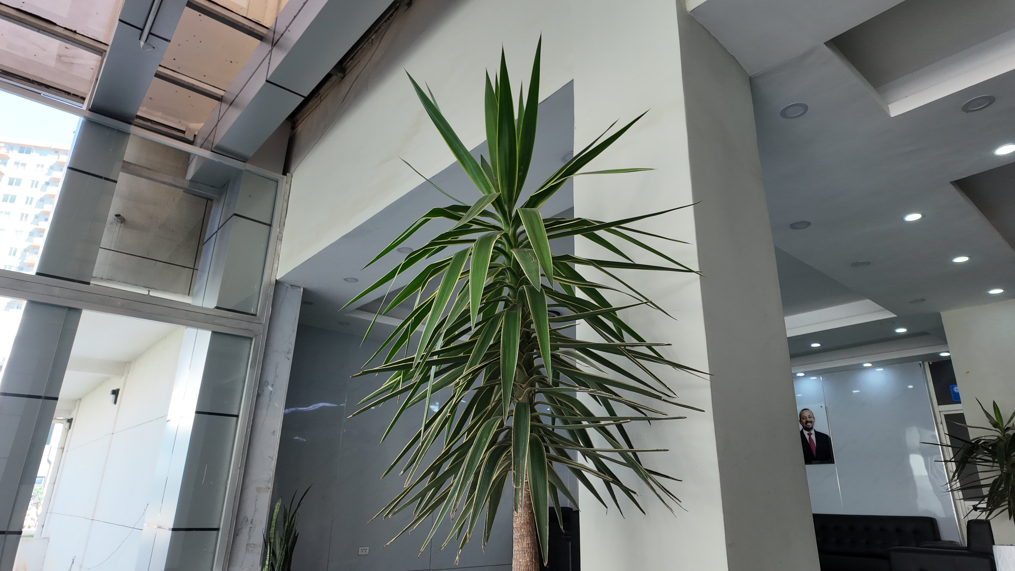 Outdoor planting and landscaping