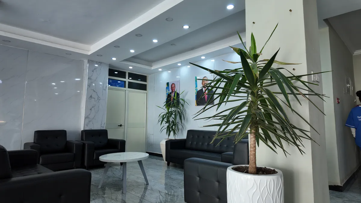 Outdoor planting and landscaping