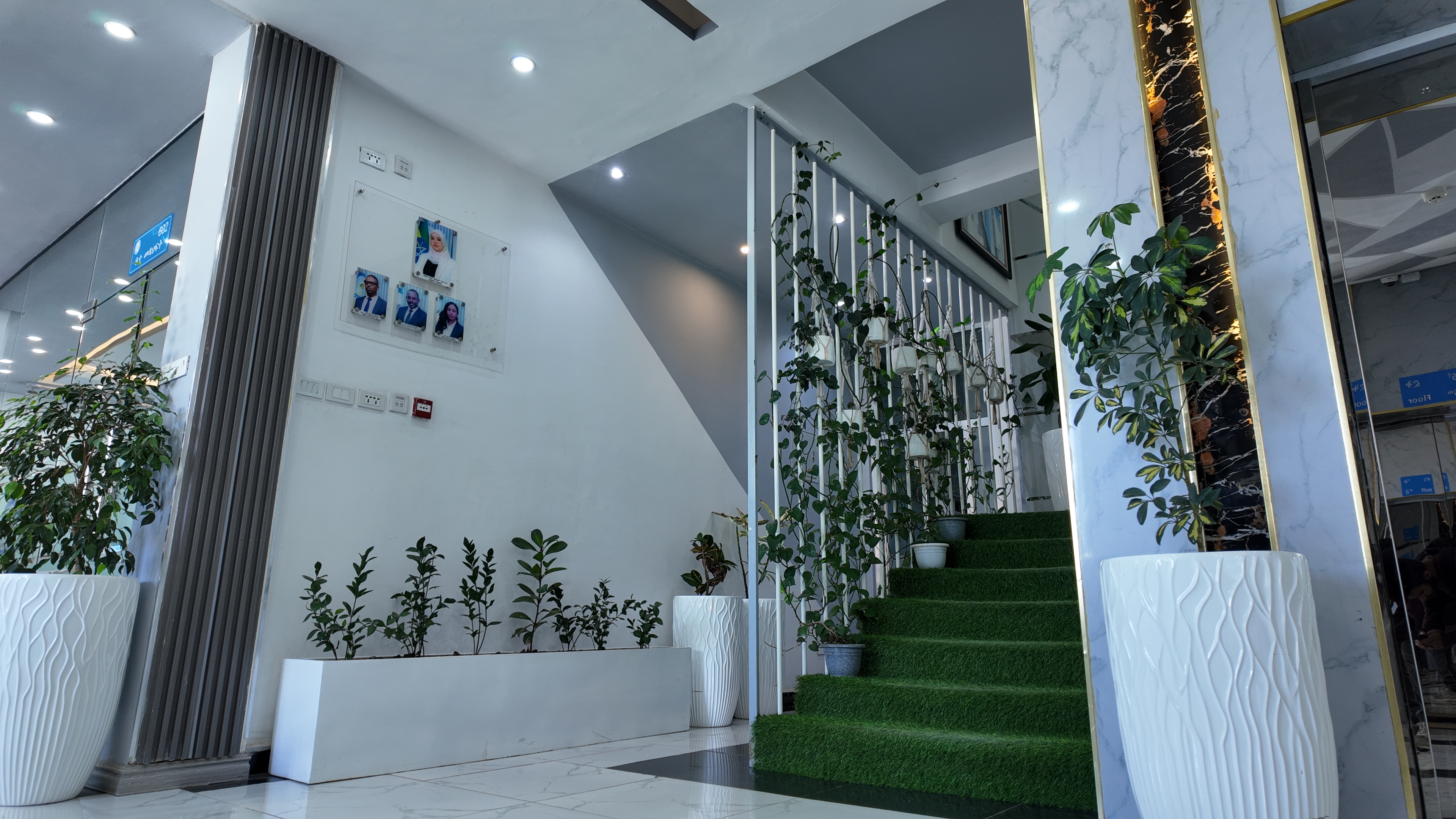 Outdoor planting and landscaping