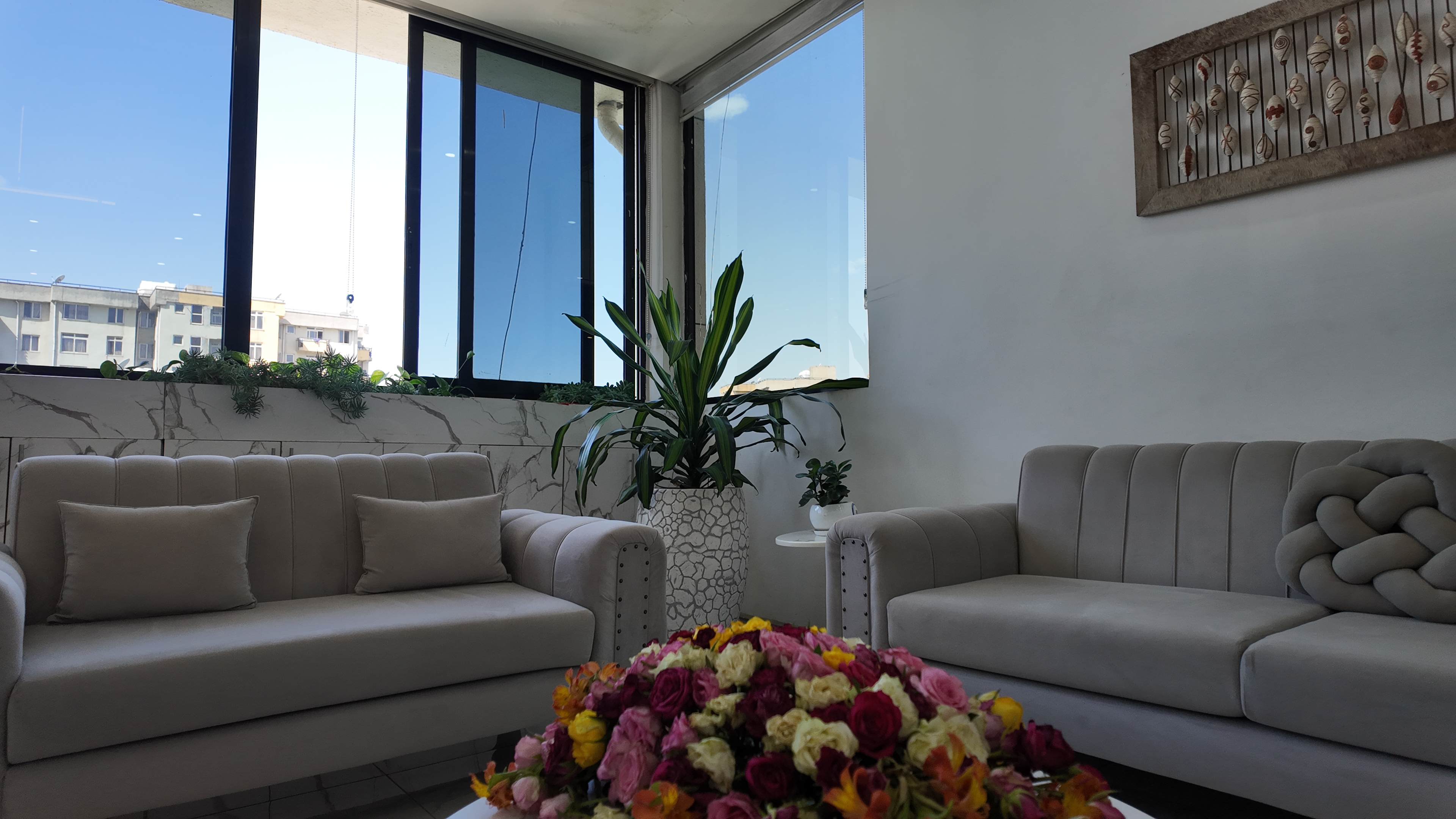 Outdoor planting and landscaping