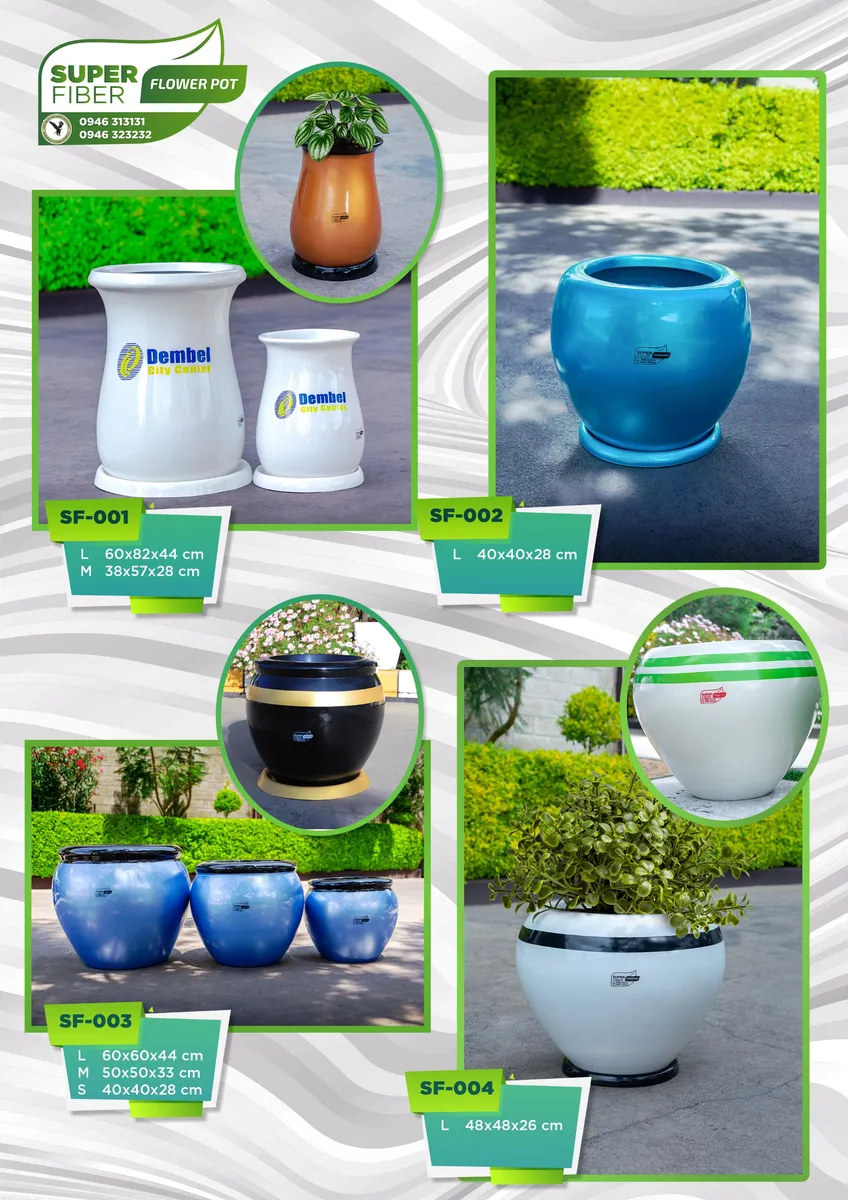 Stylish vases