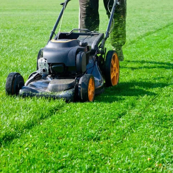 Sports & Recreational Green Areas