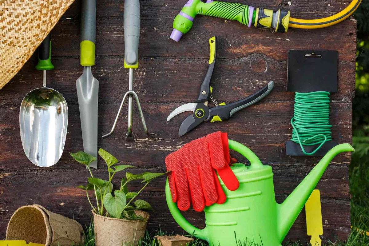 Plant Supply & Nursery Services
